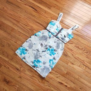 Cremieux Dress